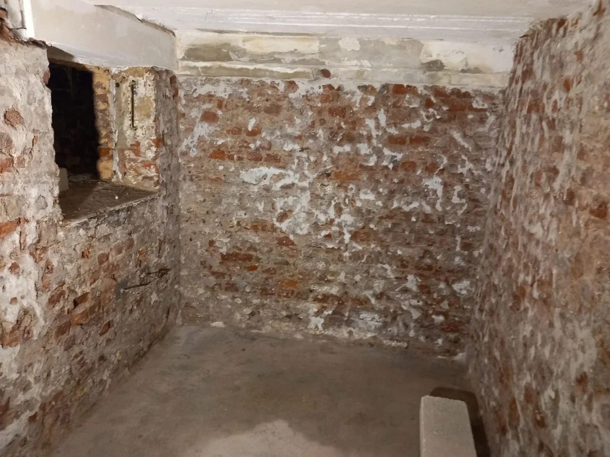 Kellermauerwerk mit weißen Salzausblühungen und losem Putz vor der Sanierung